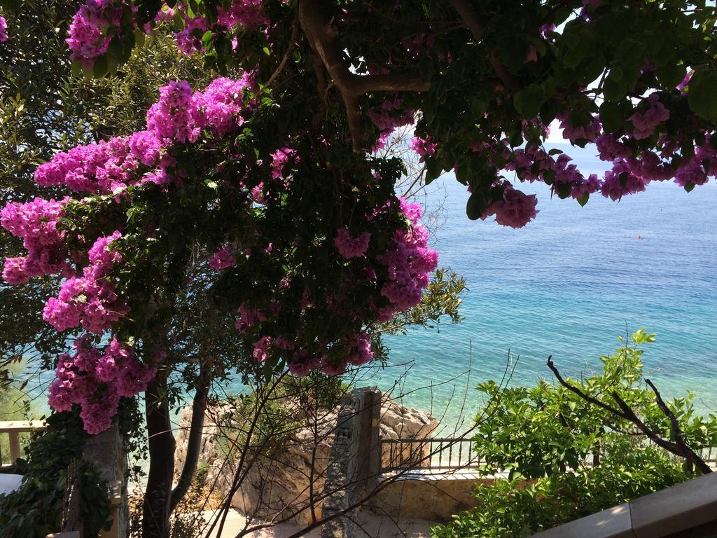 זיווגוסצה Holiday Home Mala Duba חדר תמונה