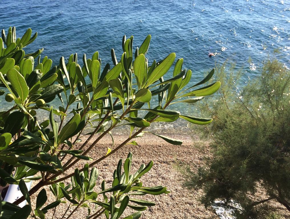זיווגוסצה Holiday Home Mala Duba חדר תמונה